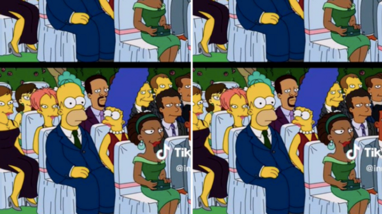 Only Simpsons fans with 20/20 vision can spot the single difference in these two images