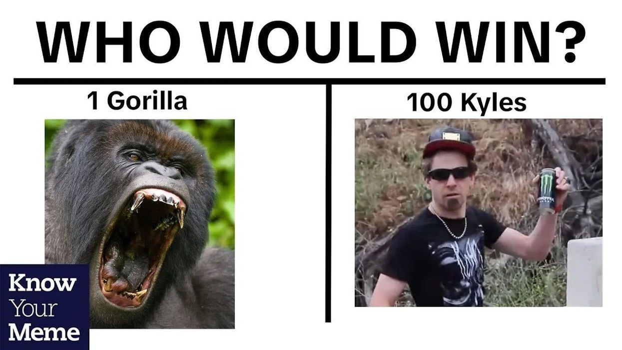 ‘The American mind can’t comprehend this’ meme explained