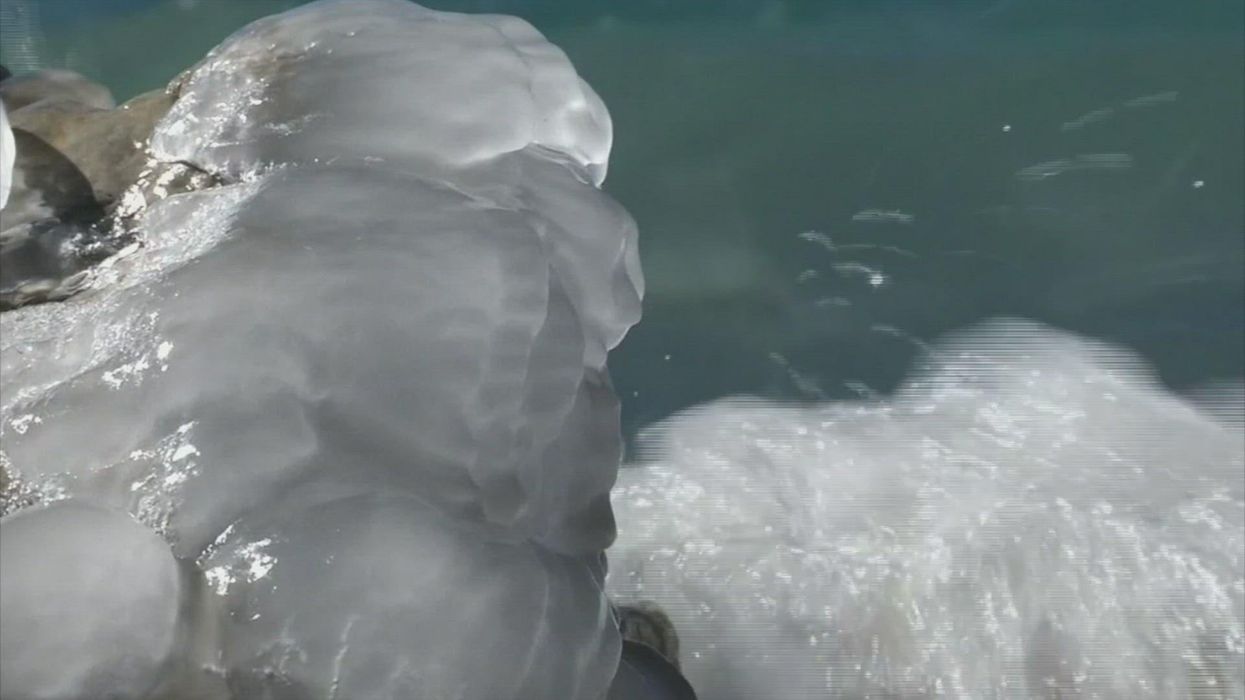 'Zombie virus' reanimated after 50,000 years and people are worried