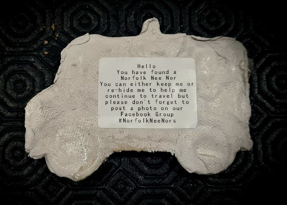 164138725_168943131627495_6810830767043533922_n