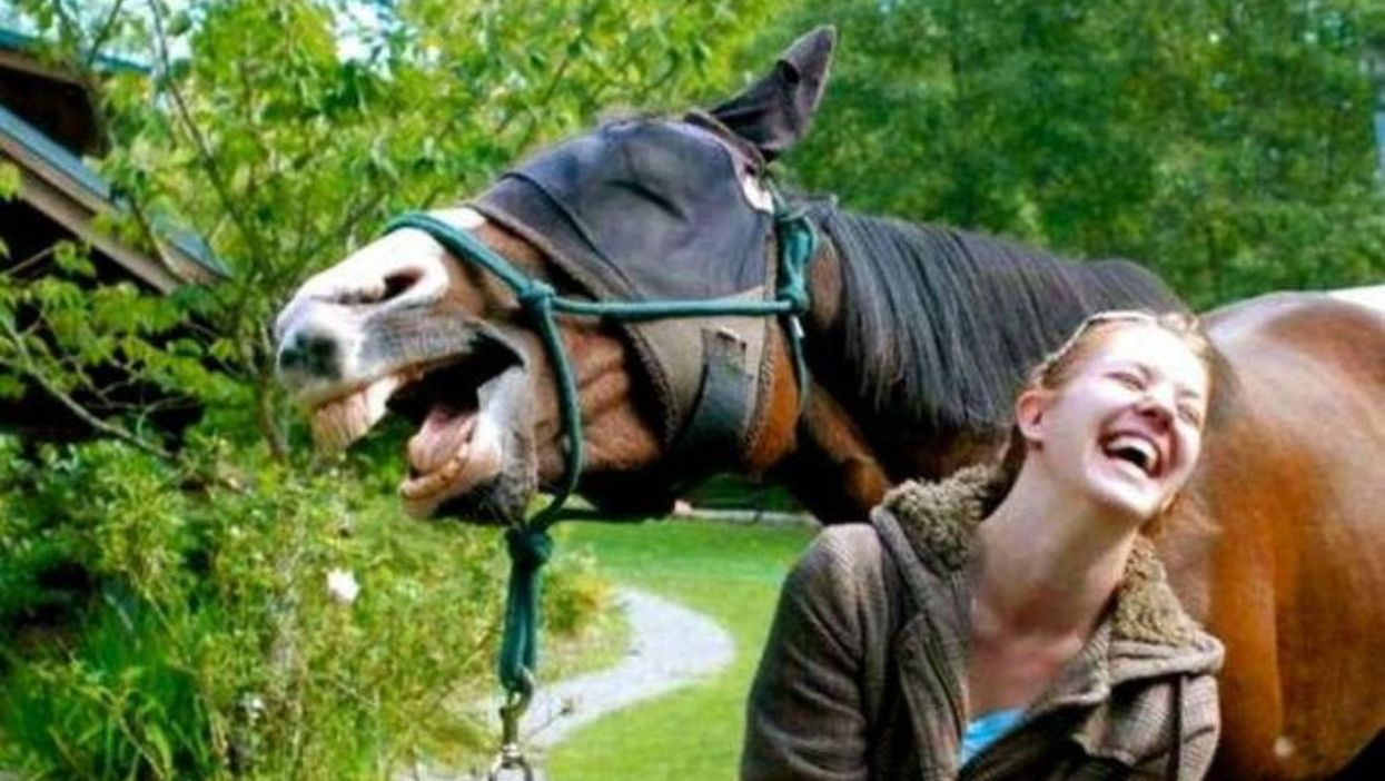 1funny.com