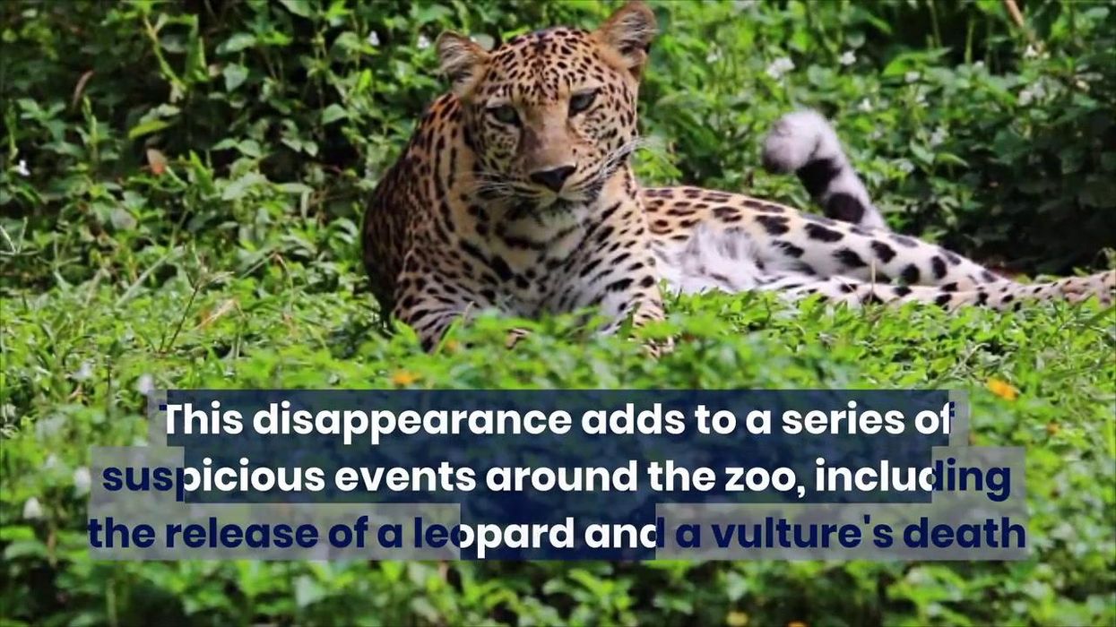 No-one knows why the animals keep disappearing at a Dallas Zoo