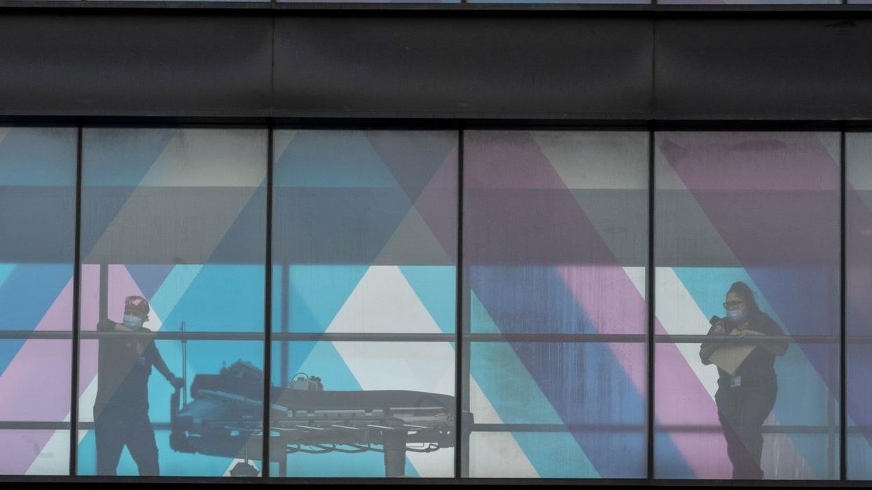 Seven genuinely incredible things that happened in 2022 you may have missed