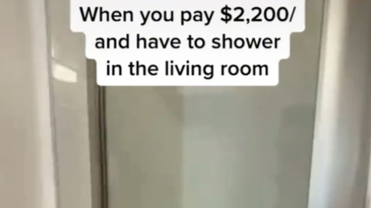 <p>$2,200-a-month NYC apartment has shower in the living room</p>