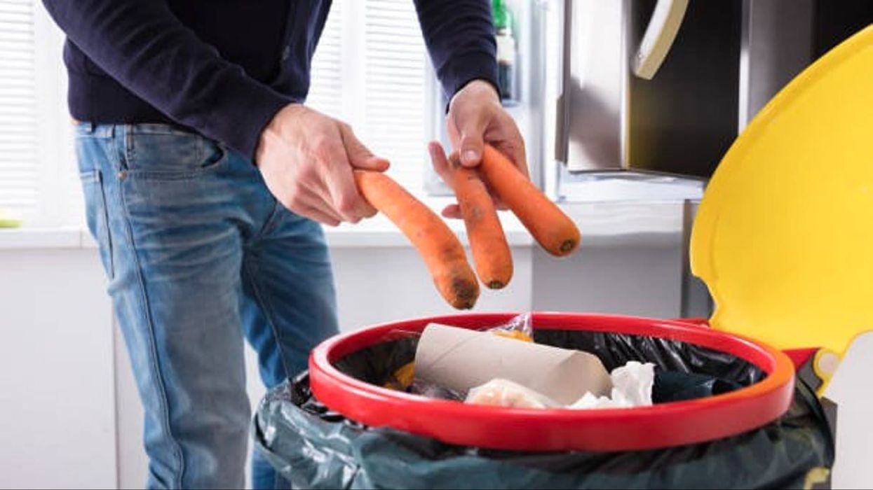 Brits throw out £35,000 worth of freezable food in their lifetime