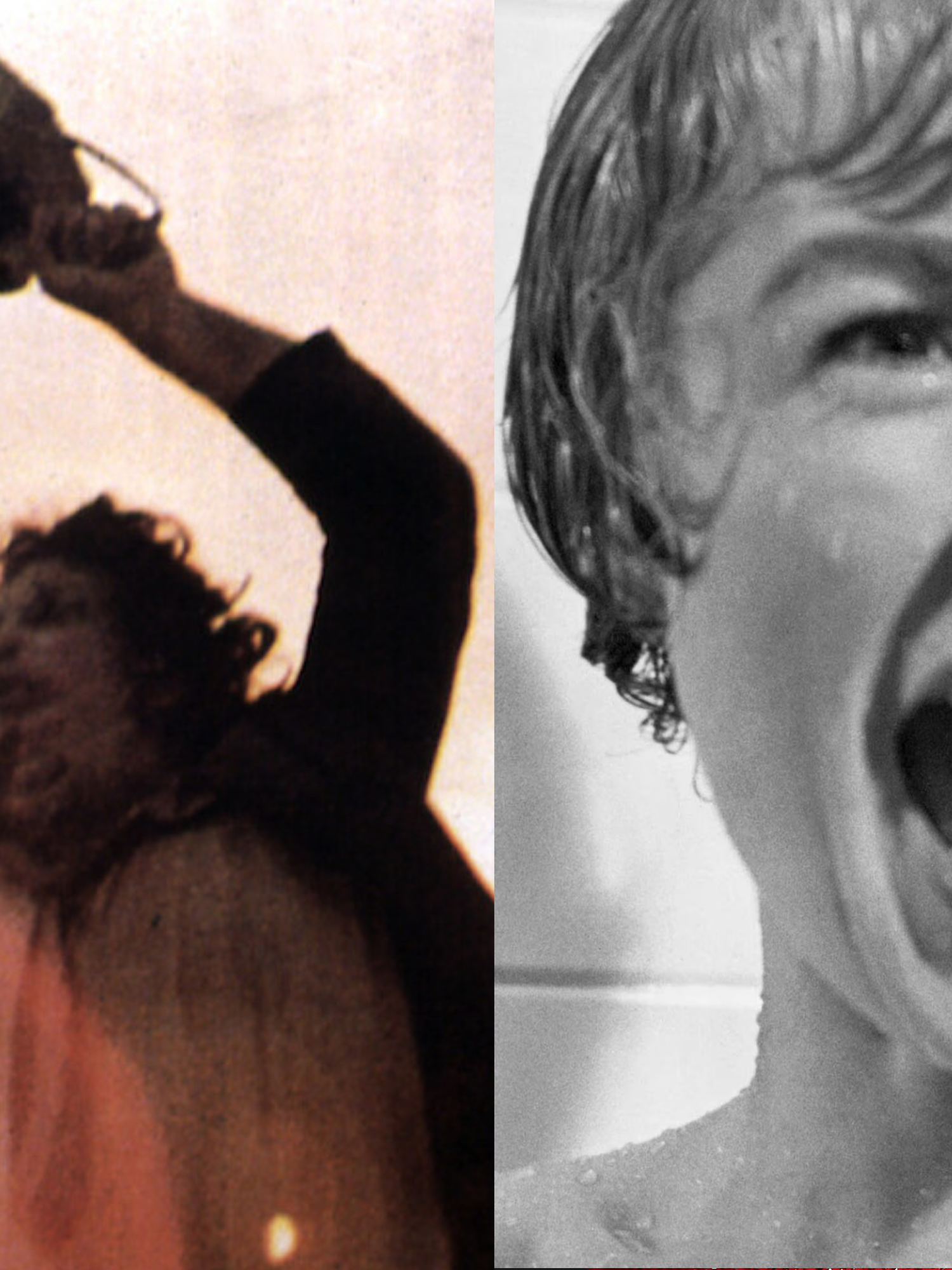 Monster: The Ed Gein Story - 4 movies inspired by the American serial killer following Netflix show