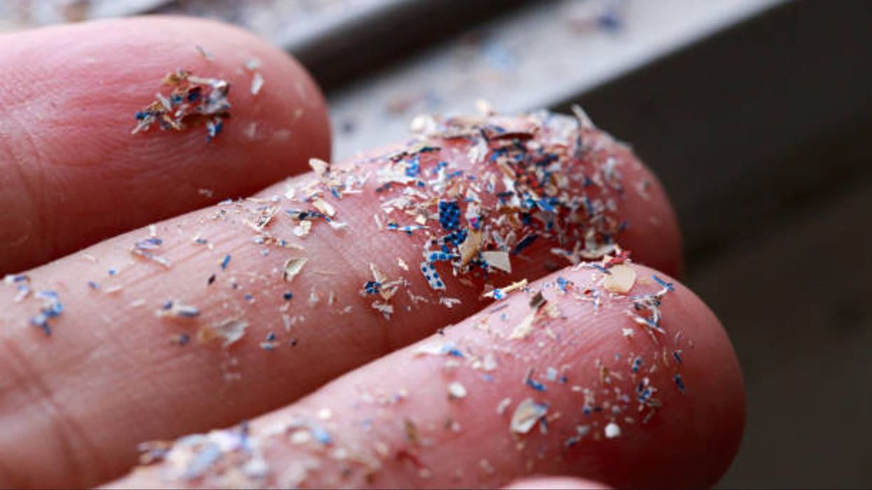Doctor launches $12,000 treatment to rid the body of microplastics – but what are they?