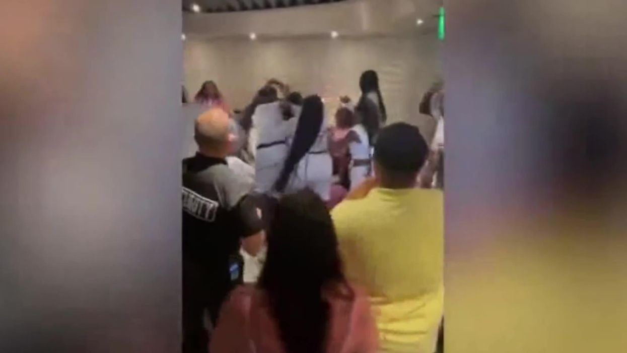 Mass brawl breaks out at Disney after guest accused of cutting line
