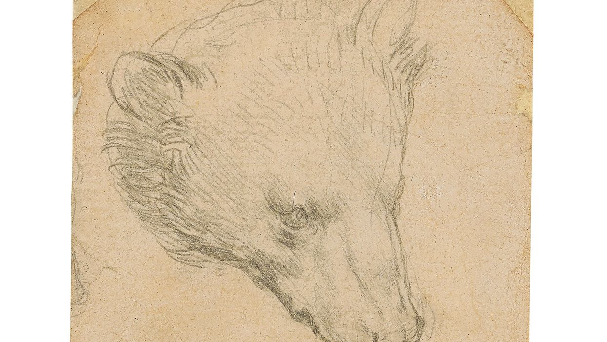 62746007-art