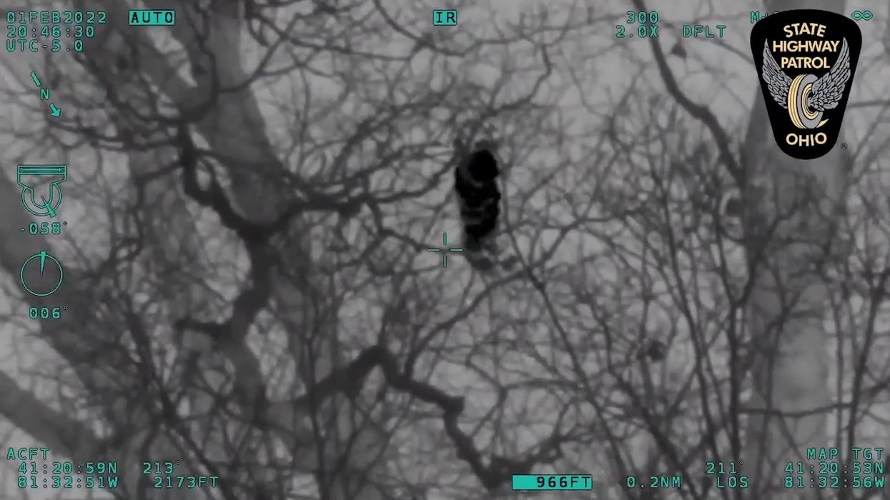 65-year-old woman with dementia rescued from wooded area