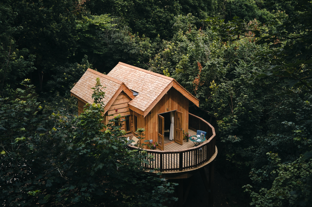 A balcony treehouse at Wildhive Callow Hall in Derbyshire