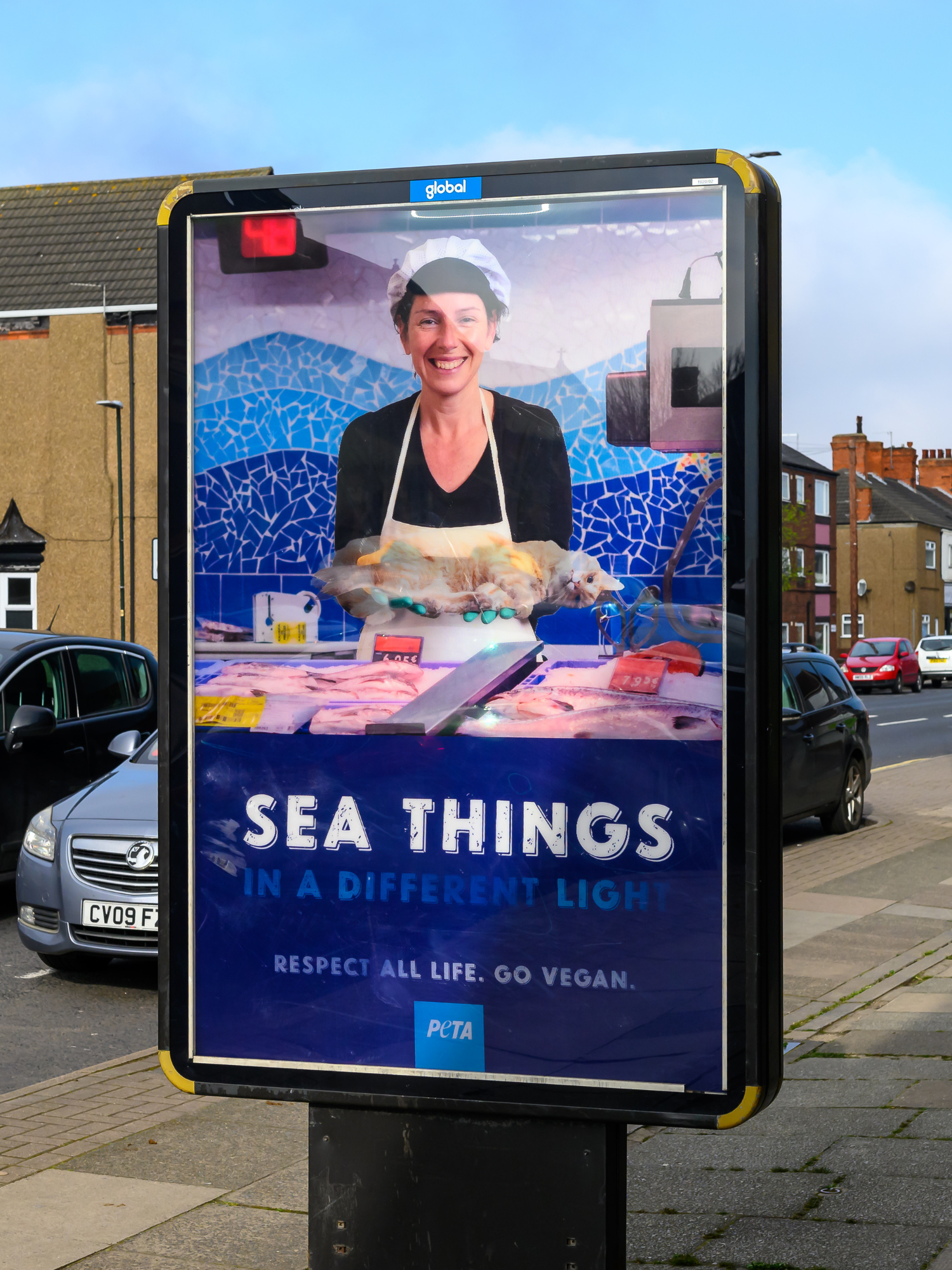 A billboard on a pavement near a road, which shows a fishmonger holding a dead cat in her hands. Underneath is the caption, 'sea things in a different light'.