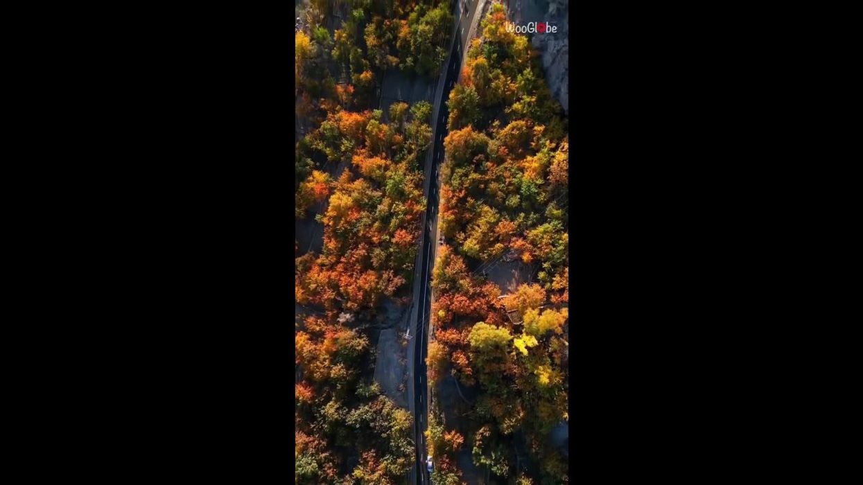 What it's like to live in the town where all 6,000 residents live on same street