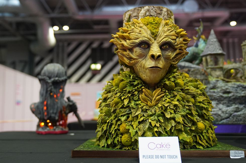 In Pictures: From Taylor Swift to Dogpool, cake artists showcase their talent