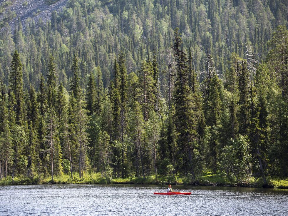 <p>A canoeist paddles on the Kesanki Lake in Akaslompolo, Kolari in Lapland, Northern Finland, on July 7, 2021 as the area continues to experience a record-breaking heatwave with temperatures topping 33 degrees Celsius</p>