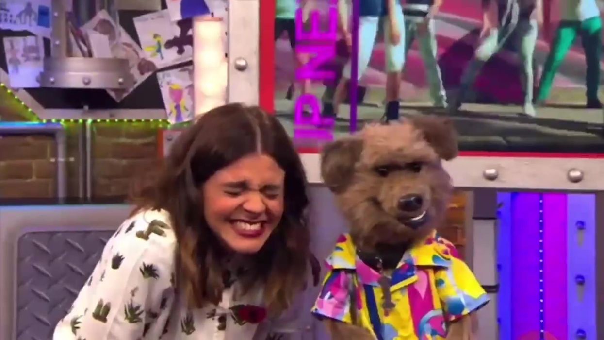 A CBBC dog saying 'normal men, innocent men' has become the internet's new favourite meme