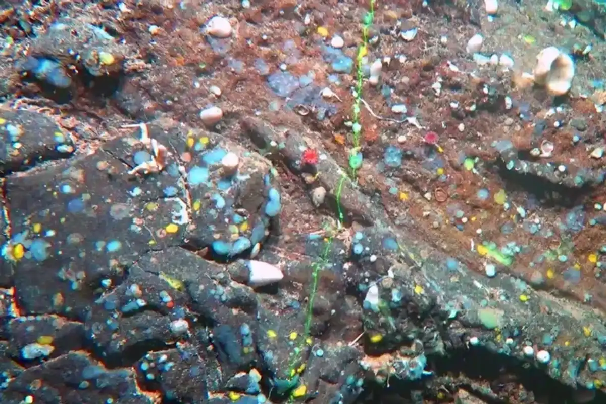 A close-up of the summit of the seamount Los Atlantes, which features three inactive volcanoes