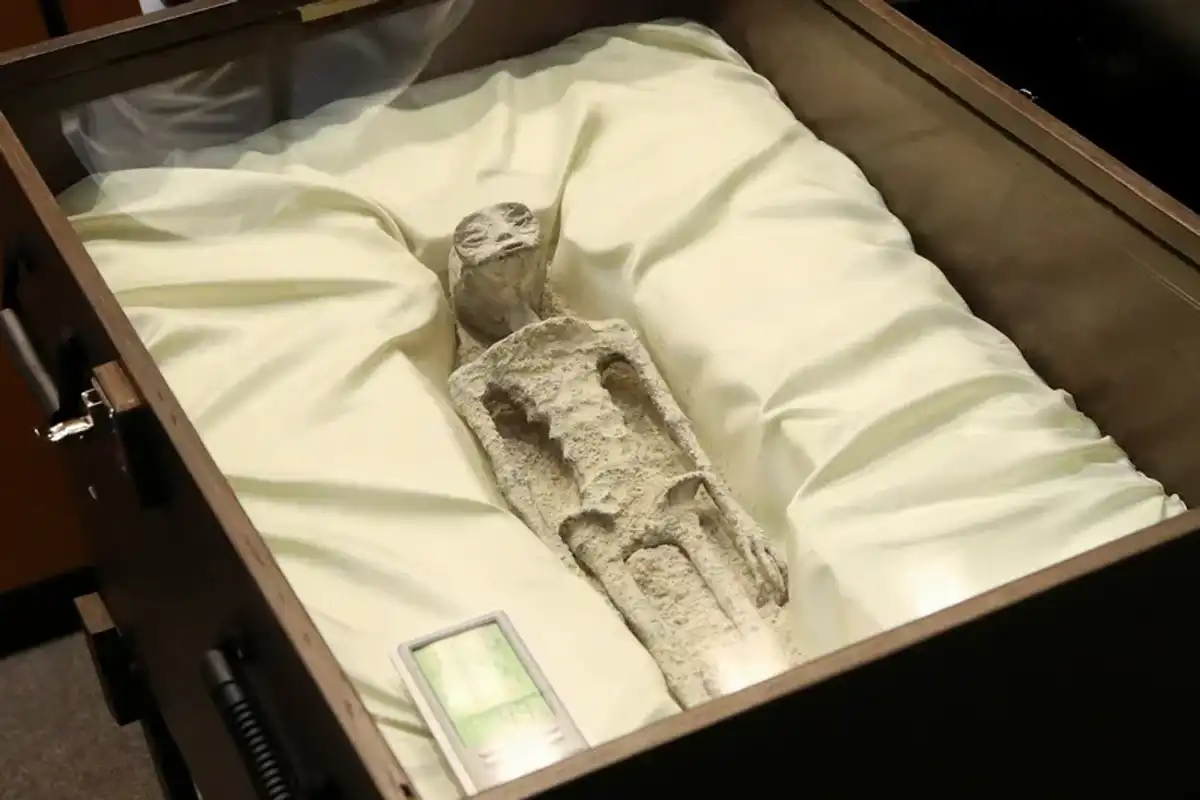A coffin-like box containing a "non-human" corpse as presented during the 2023 Public Assembly for the Regulation of Unidentified Anomalous Aerial Phenomena (UAP).