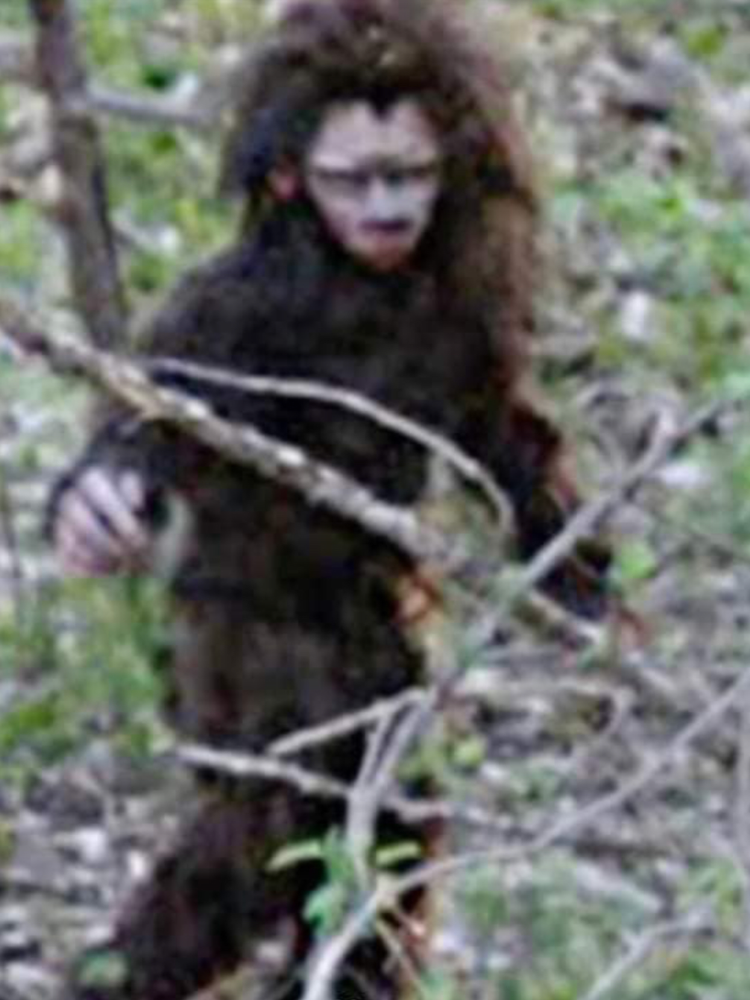New photo of 'baby Bigfoot' claimed to be '99.9 per cent believable'