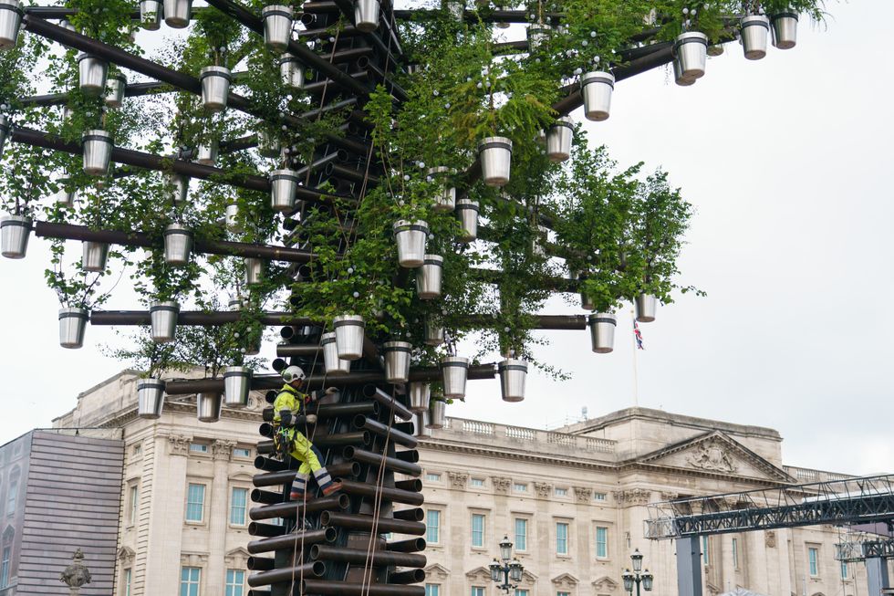 Buckingham Palace sculpture celebrates ‘superhero’ trees