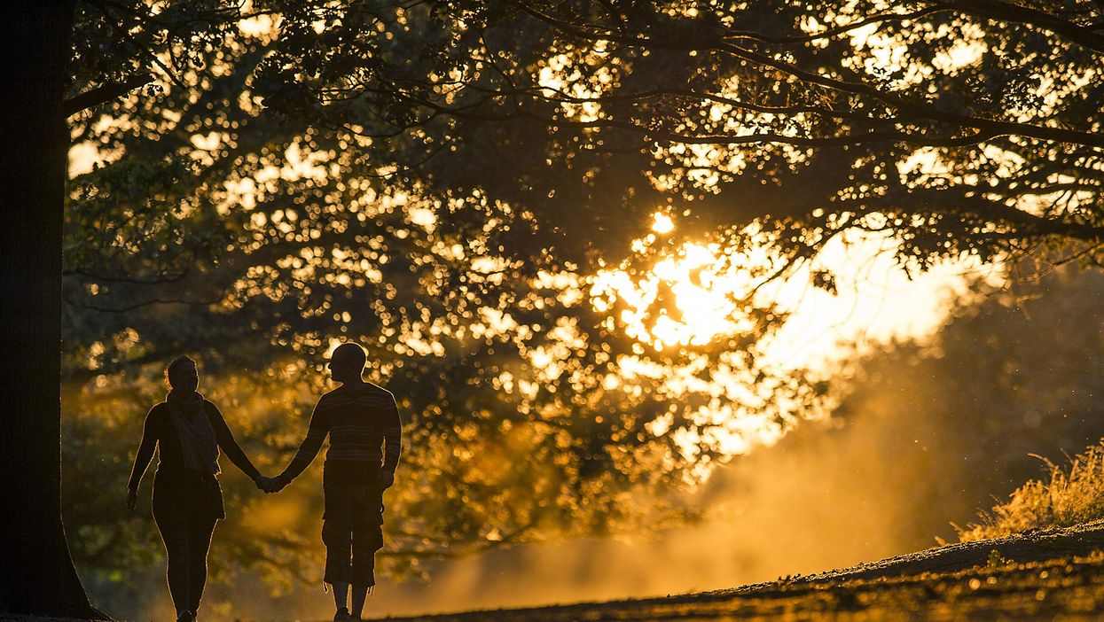 A couple walk through Richmond Park at sunset
