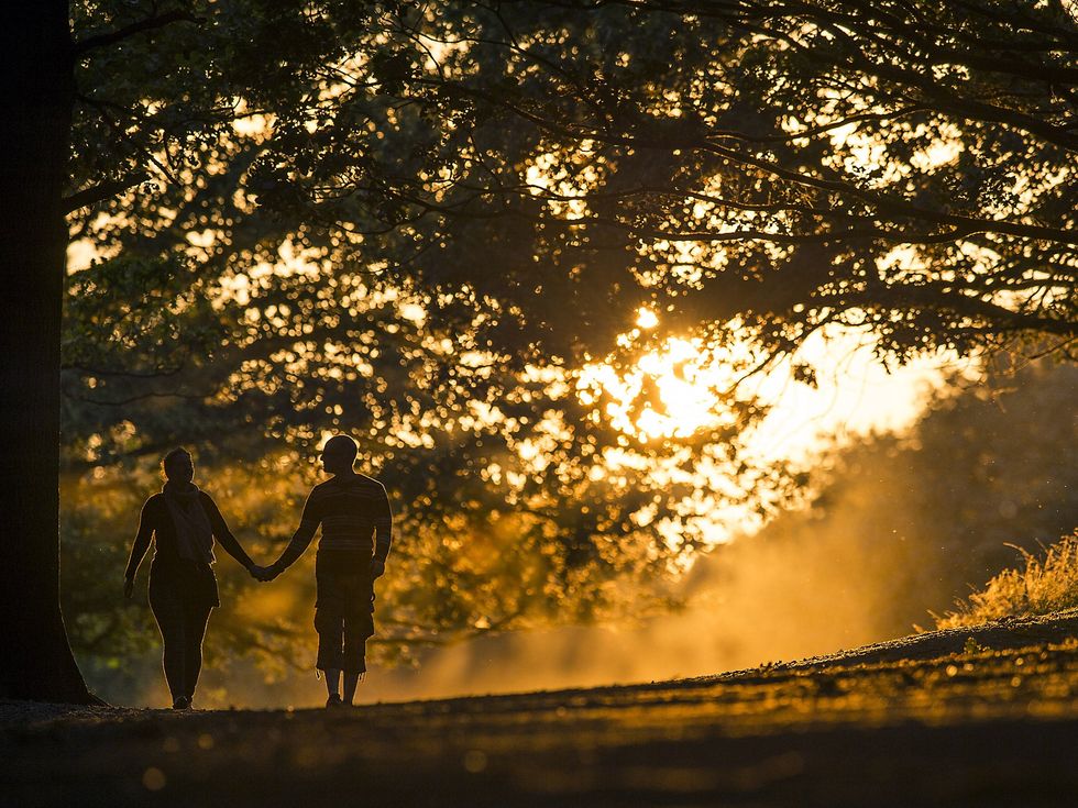 A couple walk through Richmond Park at sunset