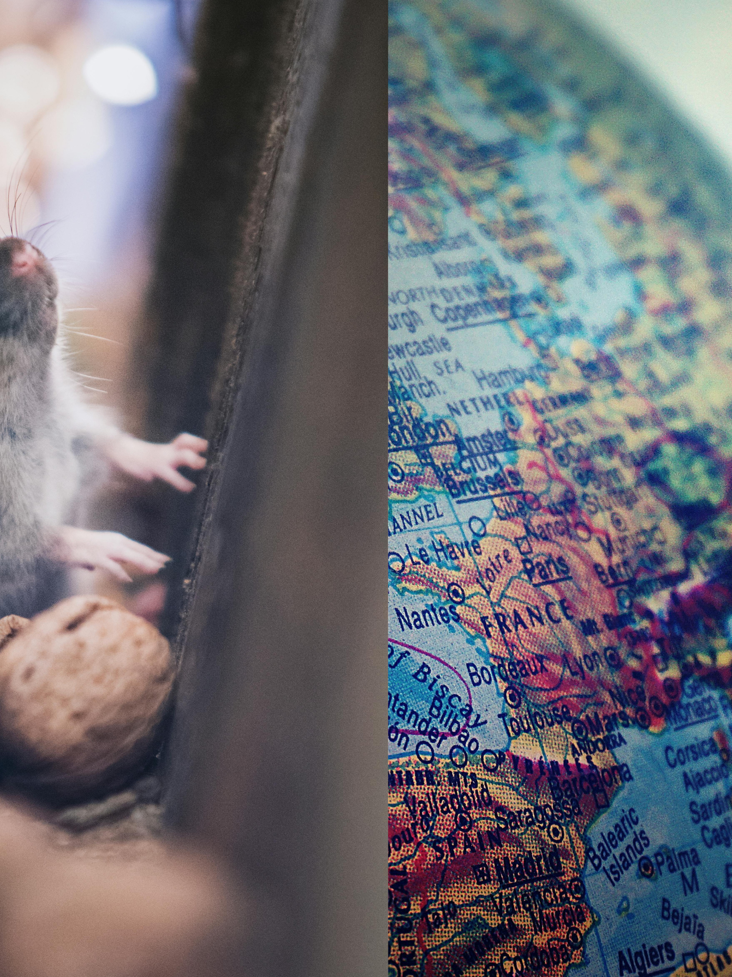 A creepy experiment once predicted the end of the world - should we still be worried today?