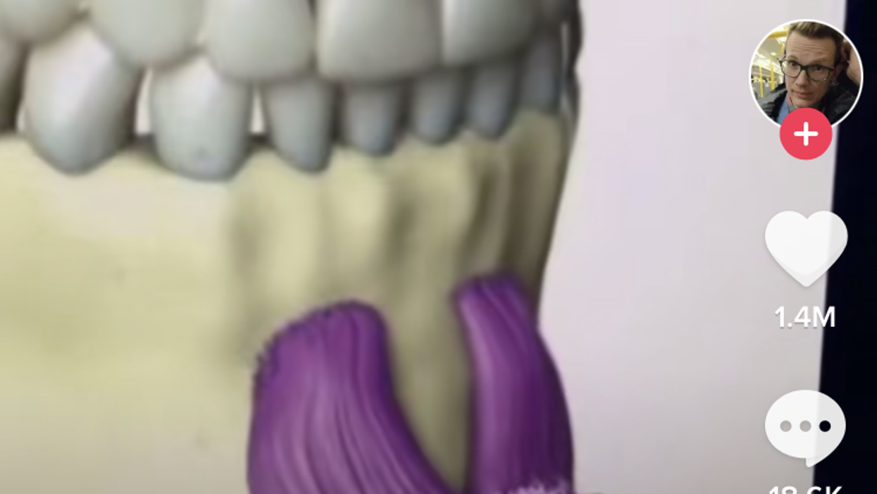 A diagram of the chin muscles.