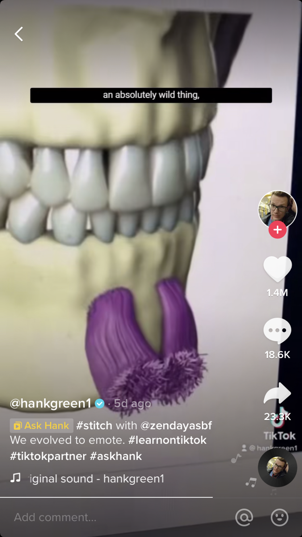 A diagram of the chin muscles.