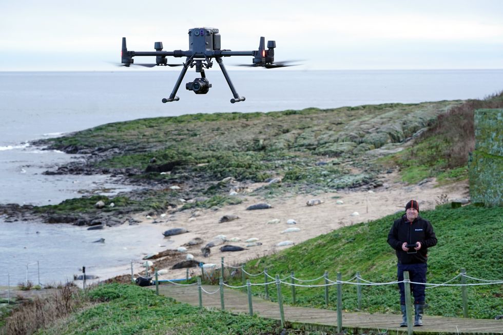 A drone being used on the Farne Islands during the annual census of grey seal pup numbers (Owen Humphreys/PA)