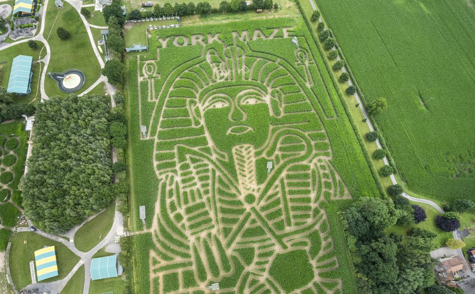 Farmer carves world record-setting image of Tutankhamun into field of maize