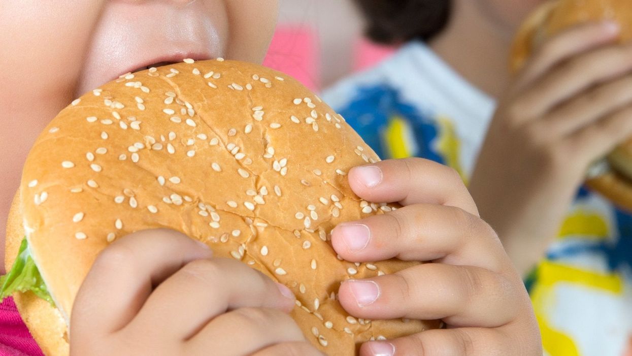 <p>A file image of a burger</p>