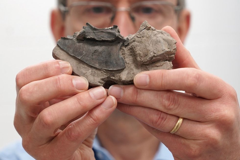 Bird fossil collection bequeathed to Scottish museum