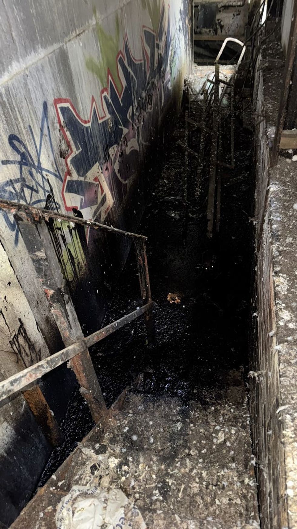 A fox which was found trapped in thick heating oil which had leaked under a derelict building in Leicester
