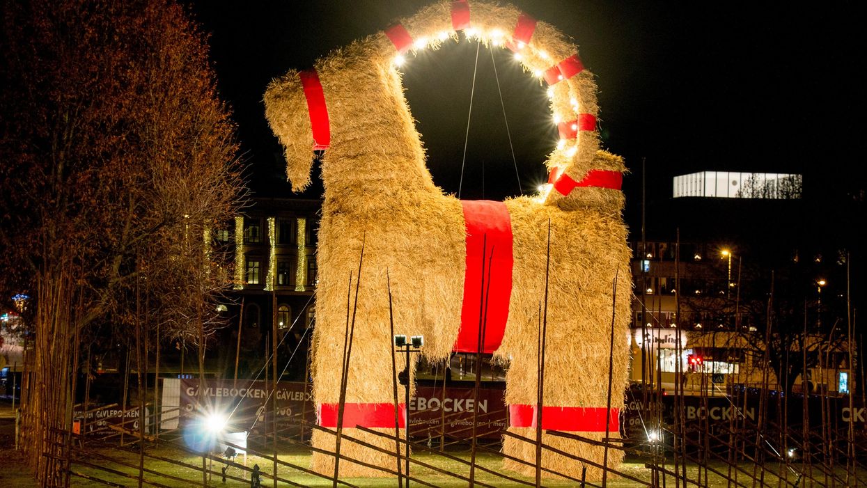 A giant, festive straw goat with red ribbons on its legs, antlers, mouth and chest, stands lit up in a city square. Protective wooden fencing surrounds it.
