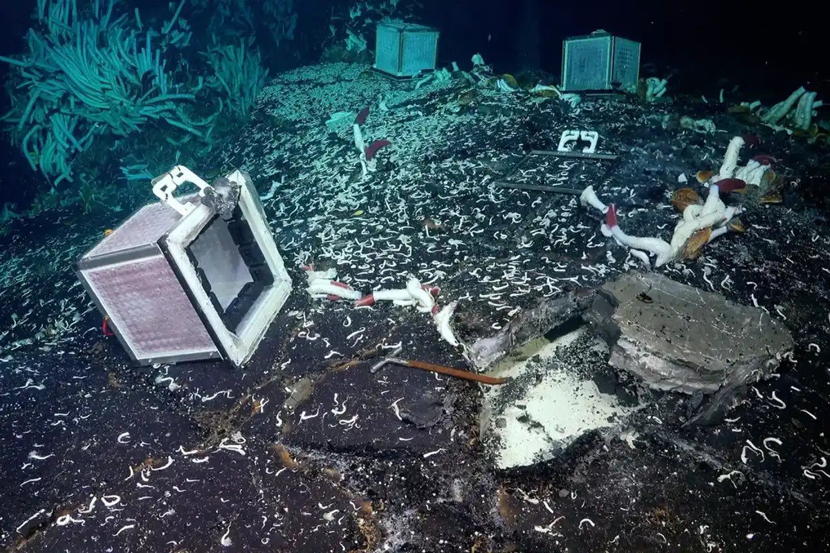A glimpse at one of the subsurface cavities discovered in the East Pacific Rise hydrothermal vent field, surrounded by worms