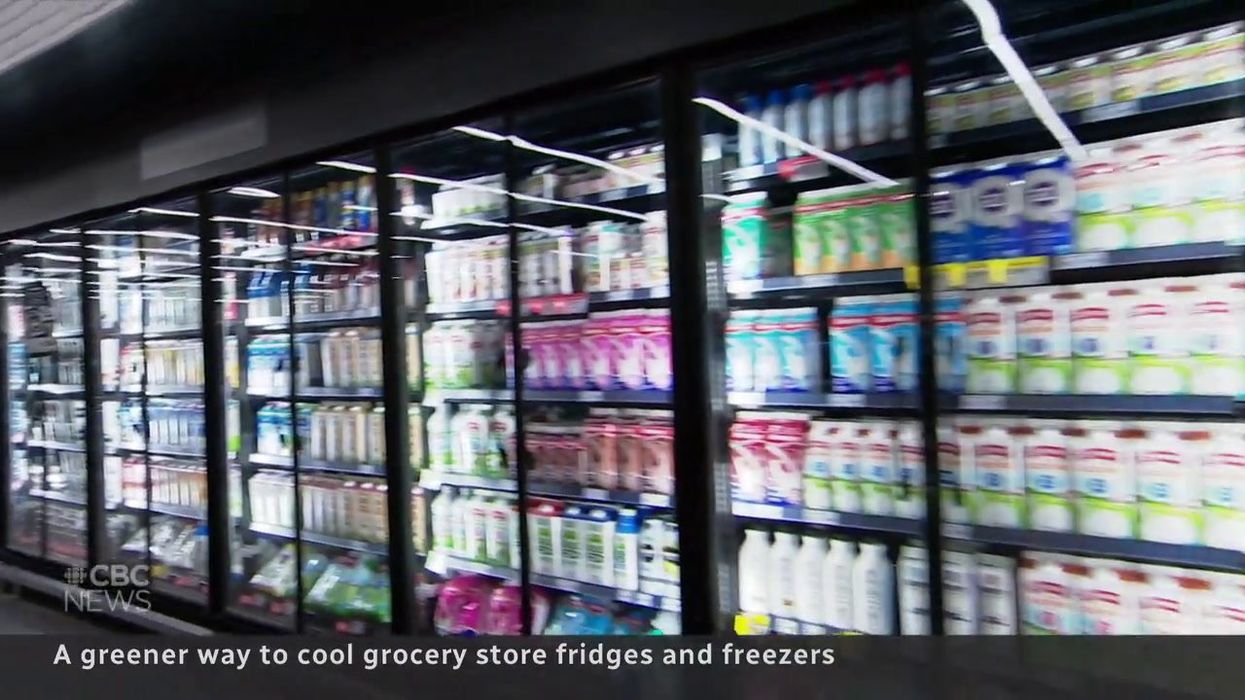 Cleaner turns off lab freezer over 'annoying beep' – destroying decades of research