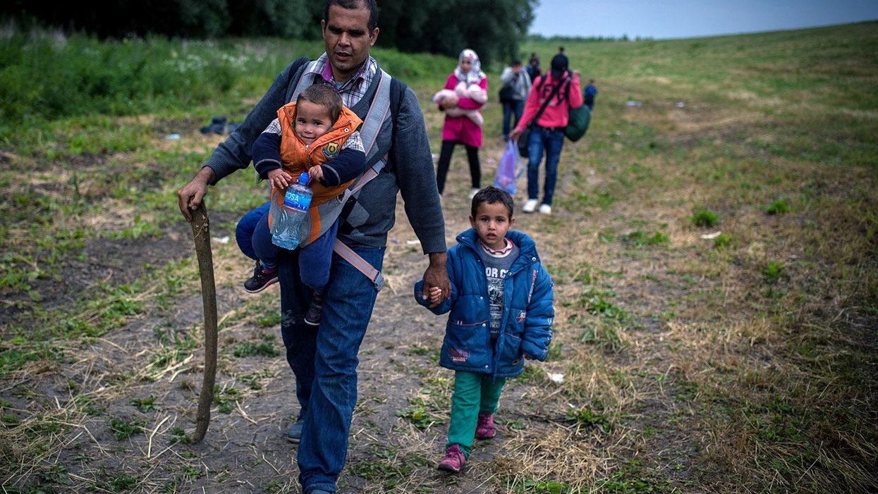 A group of migrants from Syria walk towards the border with Hungary, near Kanjiza on 25 June 2015.