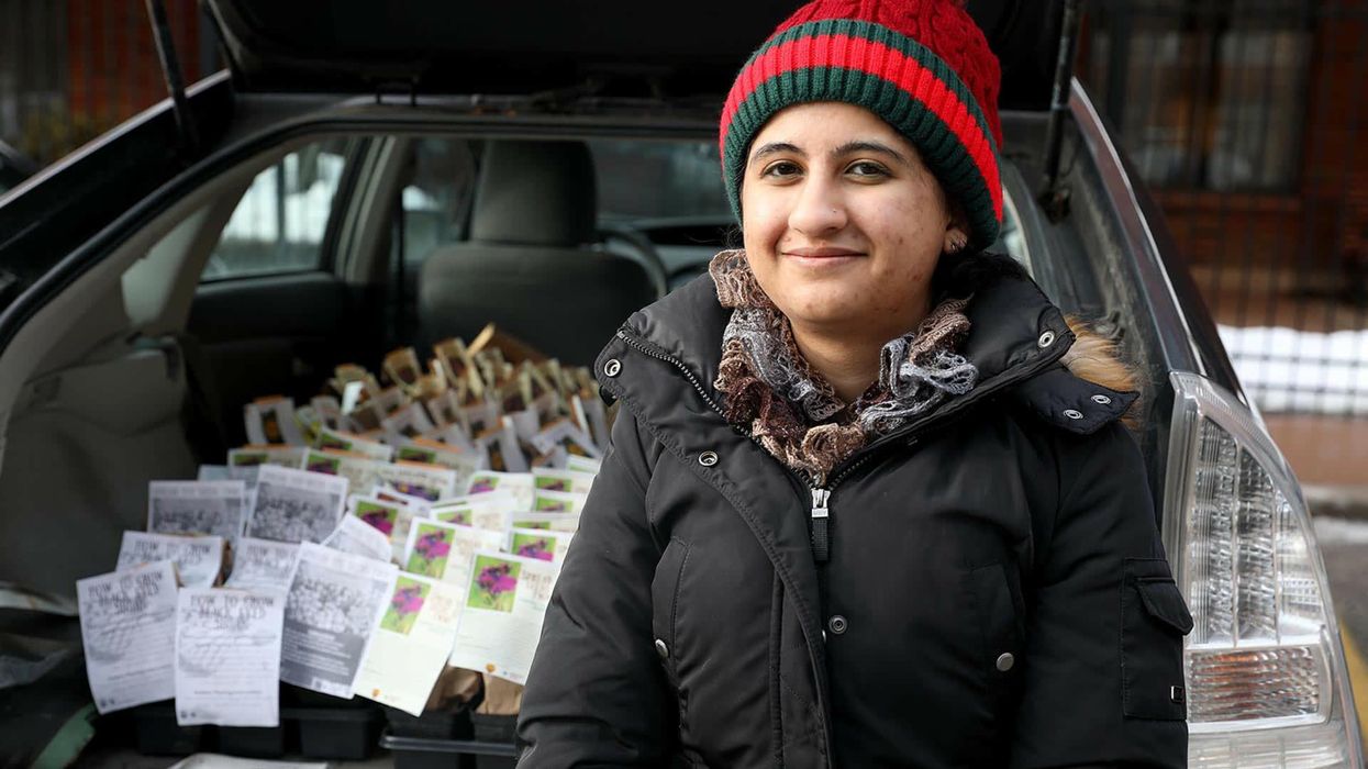 Mustard seed shortage to rock US grocery markets