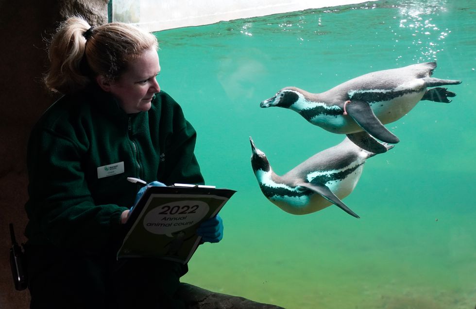 Marwell Zoo begins annual count of all creatures great and small