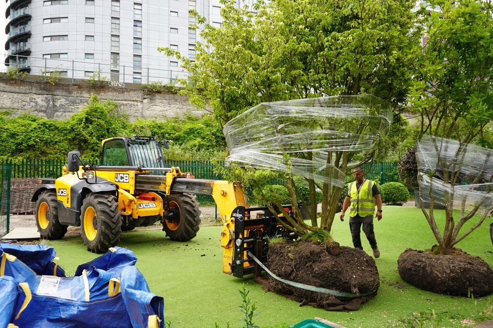 A large tree on a digger is placed on astroturf ahead of its installation at Battersea
