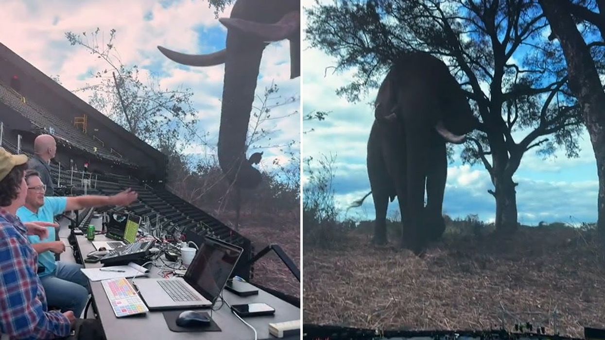 A look inside the 'largest screen on Earth' is making people feel 'uncomfotable'