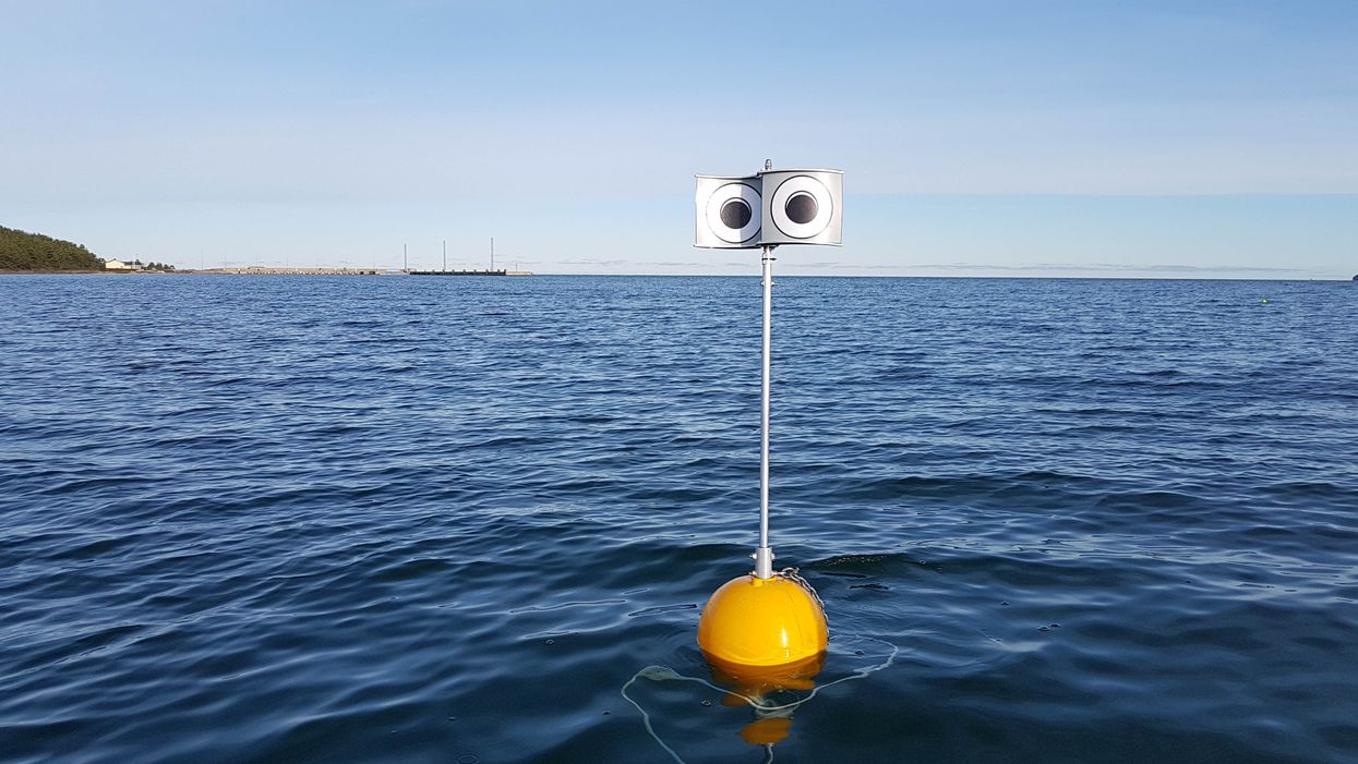 A 'looming-eyed buoy' deterrent deployed within the Küdema Bay, Estonia (Andres Kalamees/PA)