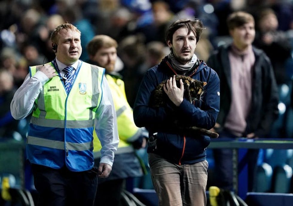 A man retrieves a cat from the pitch during the Sky Bet League One match at Hillsborough, Sheffield. Picture date: Tuesday February 8, 2022