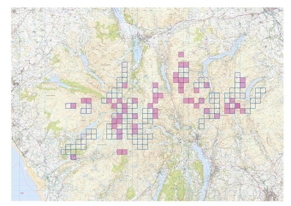 A map of the Lake District with blue squares showing existing sightings and pink squares where Butterfly Conservation is most keen for people to look