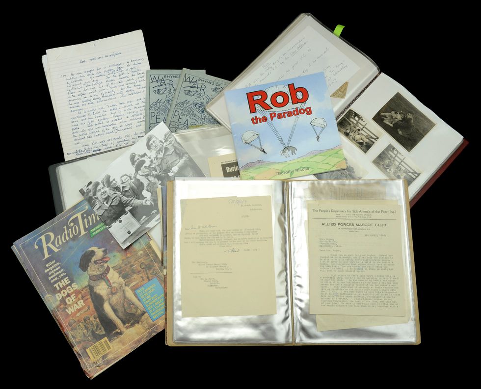 A medal awarded to a dog who completed 20 parachute descents in World War Two has been sold for \u00a3140,000 at auction along with other memorabilia