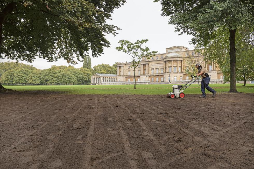 A member of the gardening team at Buckingham Palace