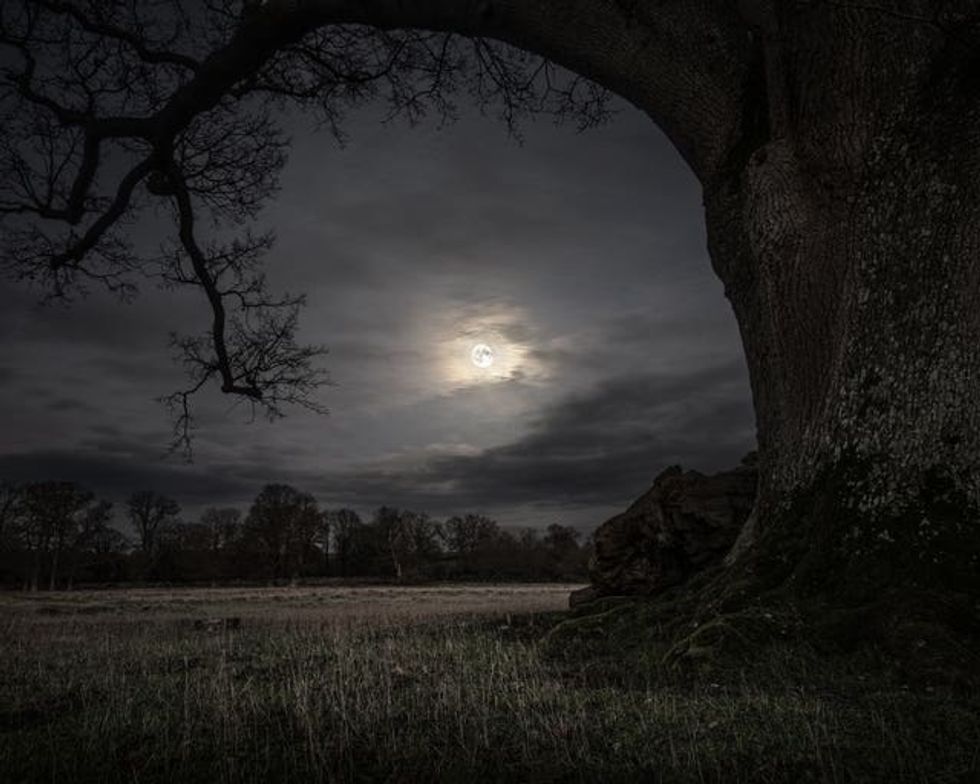 A moon covered in cloud framed by the trunk and branches of a tree