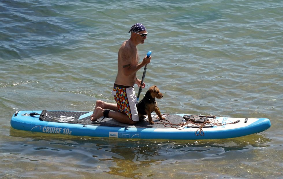 A person paddleboards with their dog in the sea near to Durdle Door