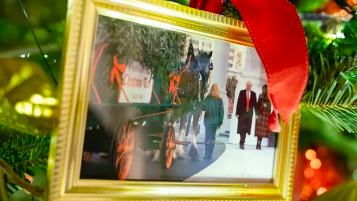 <p>A photo of Donald and Melania Trump was spotted on a White House Christmas tree. </p>